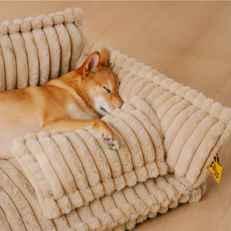 Donde el descanso de tu mascota es una priorida - PawSure Comfort™