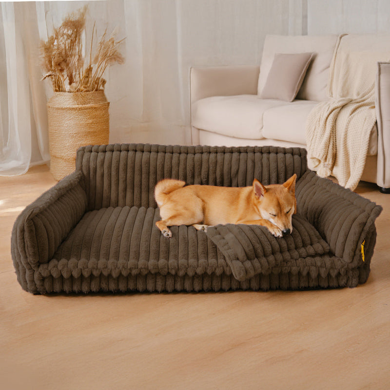 Donde el descanso de tu mascota es una priorida - PawSure Comfort™