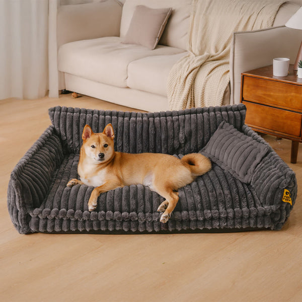Donde el descanso de tu mascota es una priorida - PawSure Comfort™